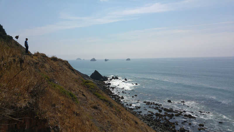Peering from cliff towards the ocean